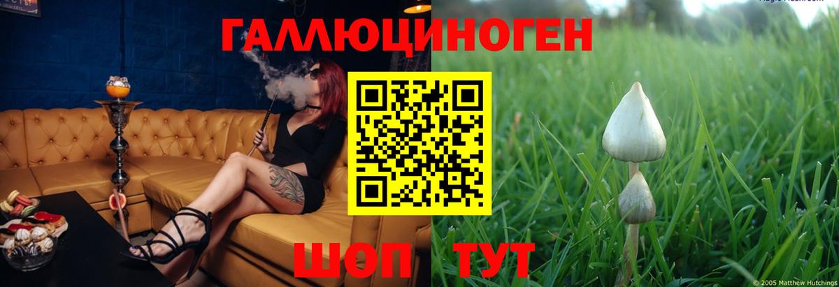 Галлюциногенные грибы мицелий  Галлюциногенные грибы GOLDEN TEACHER  Вход с VPN  Кандалакша 